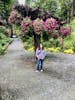 Mendenhall glacier and garden tour in Juneau Alaska