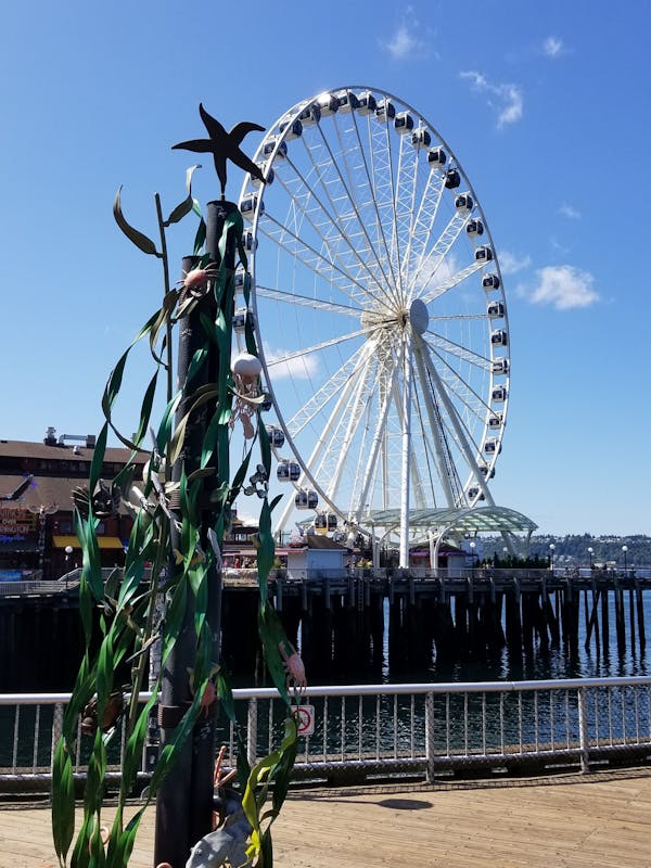 Seattle Great Wheel - Ovation of the Seas