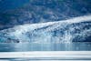 Lamplugh Glacier in Glacier Bay