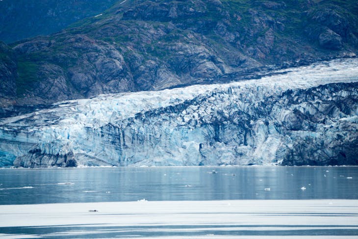 Lamplugh Glacier in Glacier Bay - Norwegian Pearl