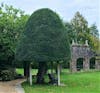 Weymouth Castle grounds