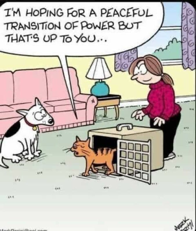 power transition.jpg?auto=format,compress