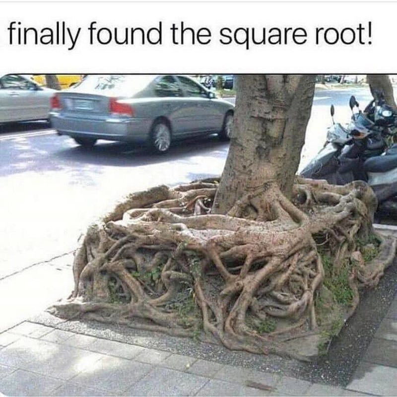 square root.jpg?auto=format,compress