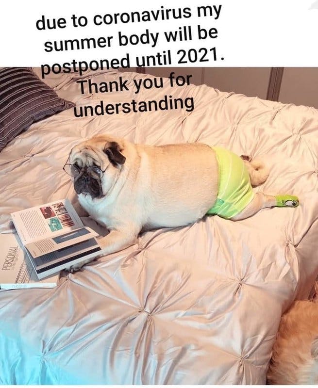 summer body.jpg?auto=format,compress