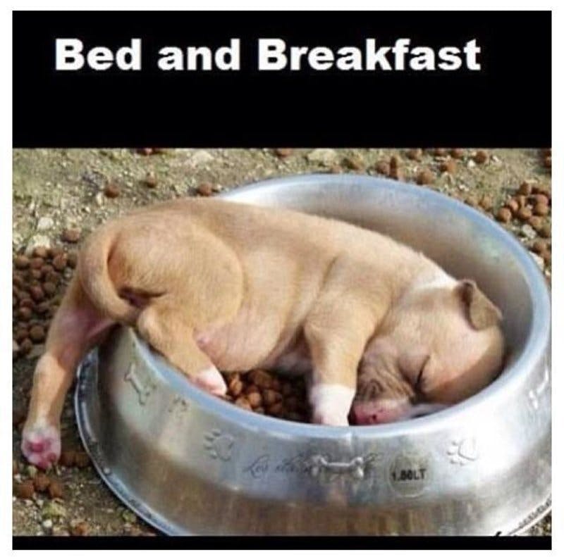 Bed & breakfast.jpg?auto=format,compress