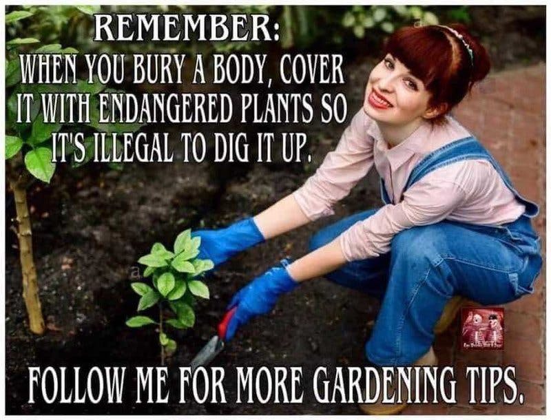 gardening tips.jpg?auto=format,compress