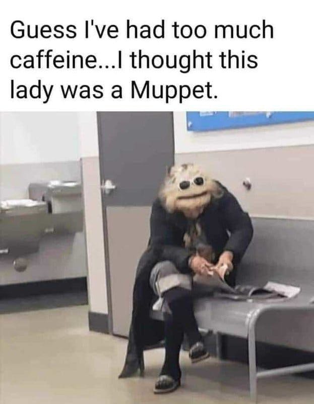 Muppet lady.jpg?auto=format,compress