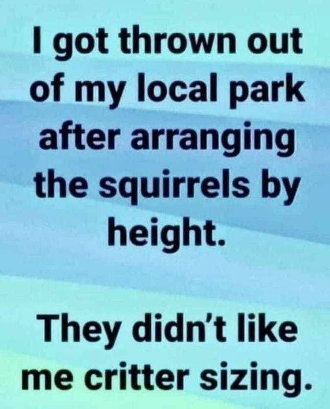 squirrels.png?auto=format,compress