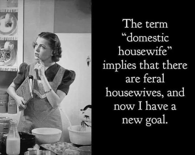 housewife.jpg?auto=format,compress