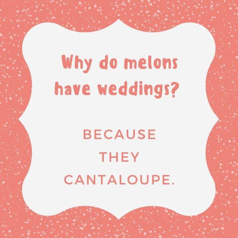 cantaloupe_n.jpg?auto=format,compress