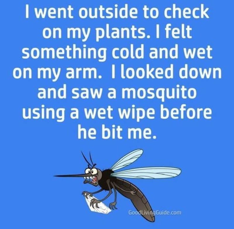 mosquito.jpg?auto=format,compress