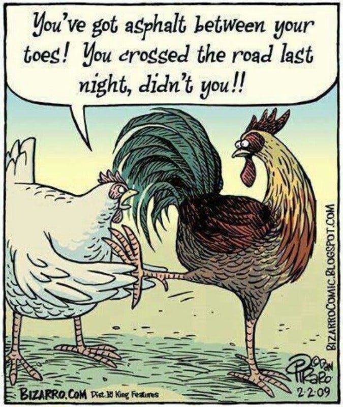 chicken crossed the road.jpg?auto=format,compress