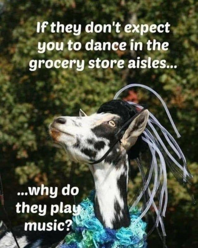 dance at grocer.jpg?auto=format,compress