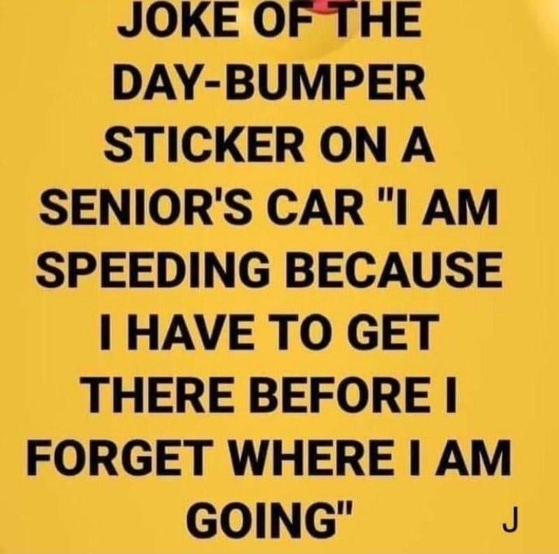 senior bumper sticker.jpg?auto=format,compress