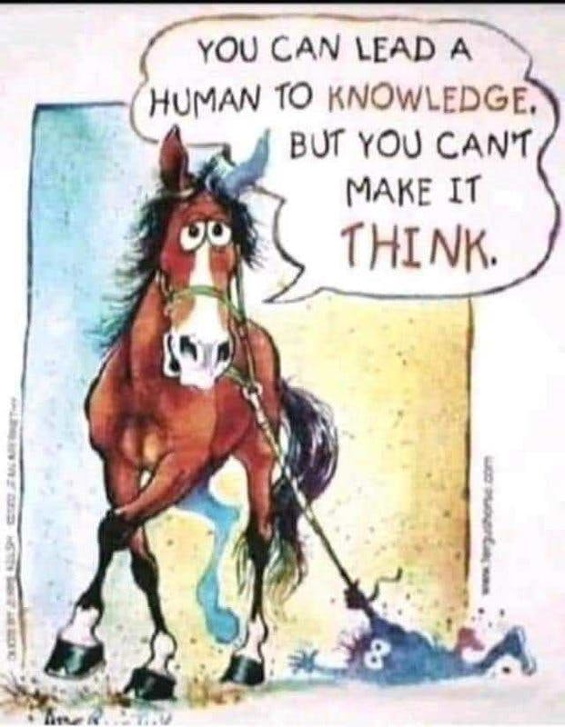 lead human to knowledge.jpg?auto=format,compress