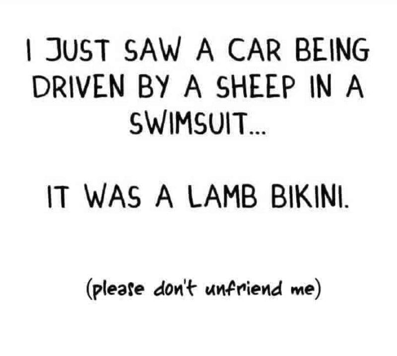 lamb bikini.jpg?auto=format,compress