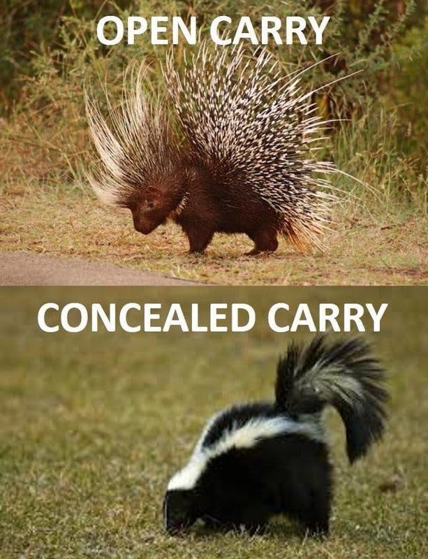 conceal carry.jpg?auto=format,compress