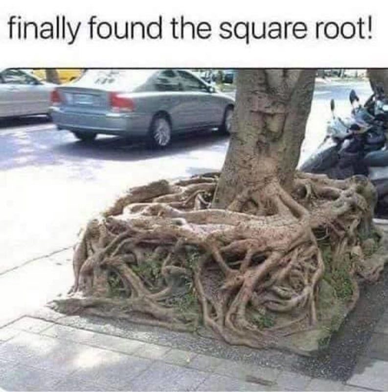 square root.jpg?auto=format,compress