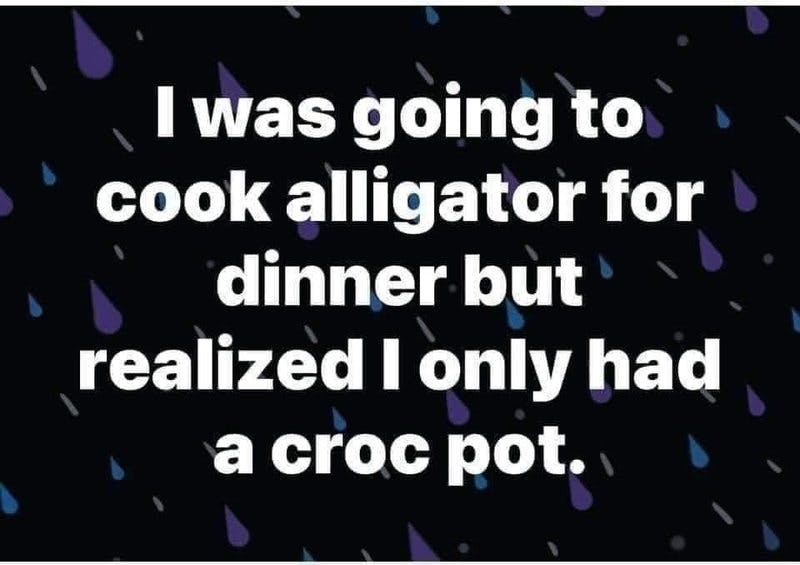 cook alligator.jpg?auto=format,compress