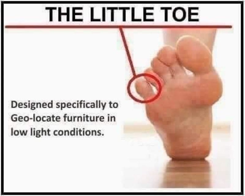 little toe.jpg?auto=format,compress