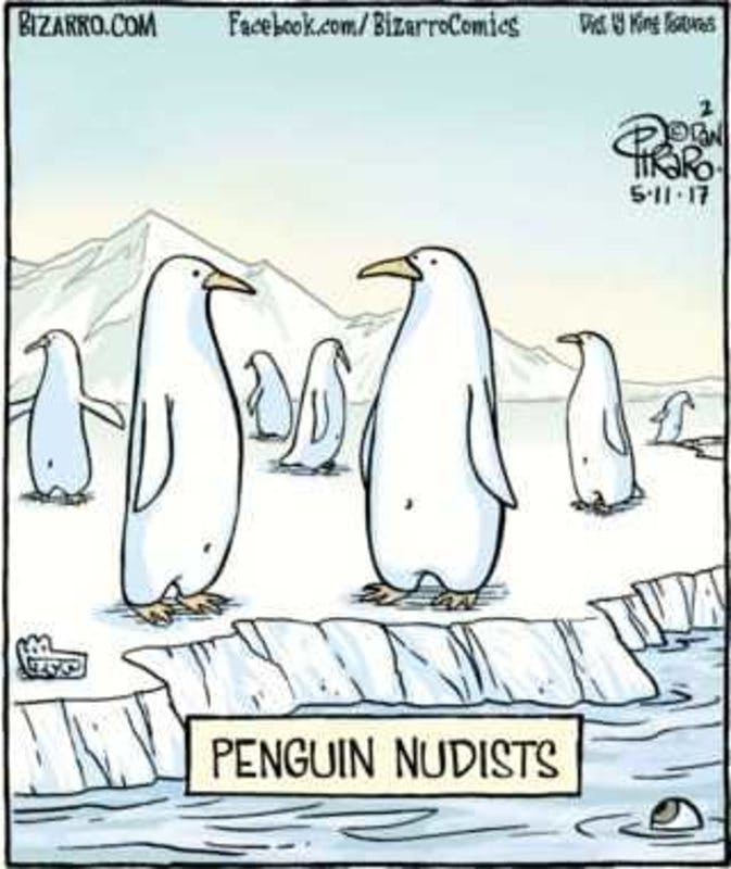 penguins nude.jpg?auto=format,compress