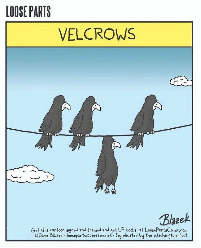 velcrows.jpg?auto=format,compress