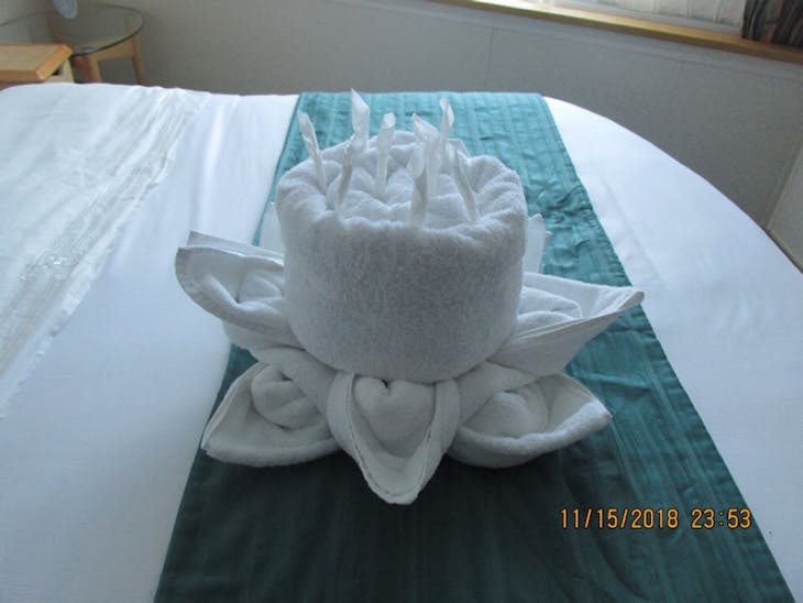 Birthday Towel Cake & Flower from our cabin steward! - Liberty of the Seas