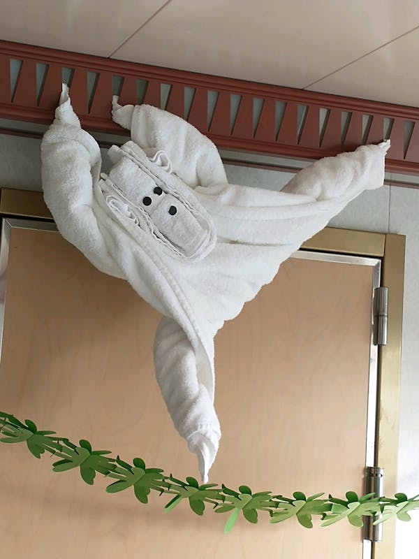 Monkey towel animal - Carnival Dream