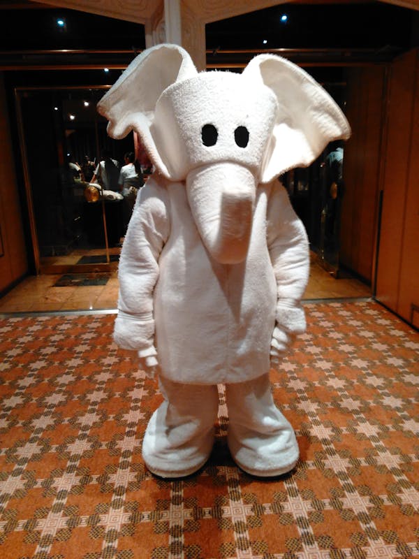 Towel Elephant 🐘 - Carnival Triumph