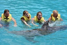 Cozumel, Mexico - Swimming with the dolphins - best excursion but don't worry about the time spans