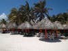 Cozumel excursion to ruins and beach restaurant.