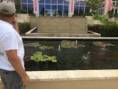 Nassau, Bahamas - Koi pond has chilled water to keep fishes comfy!