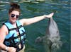 Dolphin encounter