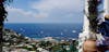 View overlooking sea from Capri