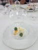 Chef's table: citrus cream and elderflower. Wonderful!