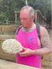 Brain coral on beach 