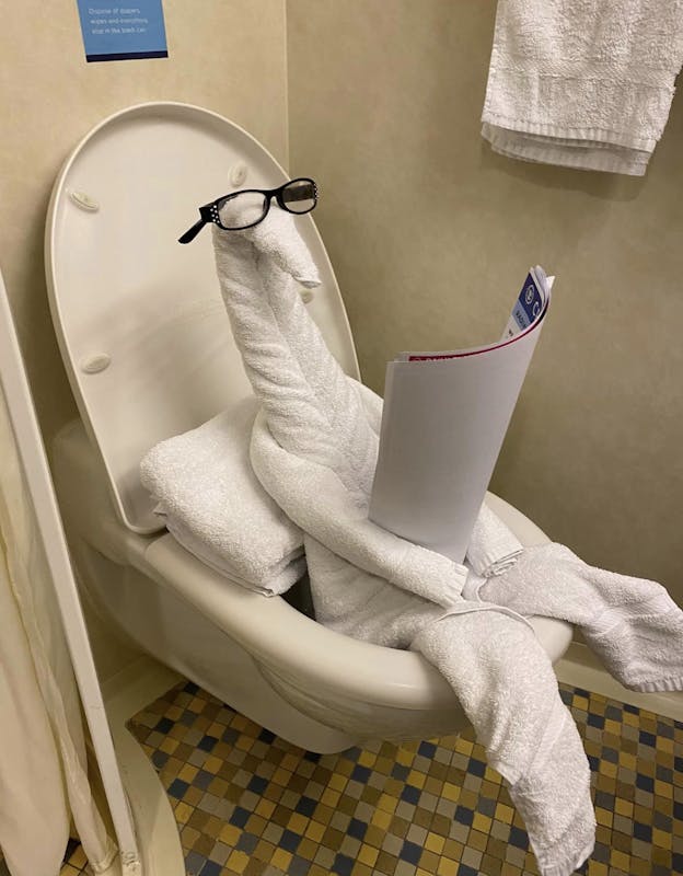 Towel buddy  - Radiance of the Seas