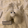 Love the towel animals 