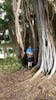 Me Inside a Banyan at Lindbergh's Gravesite 