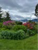 Sitka flowers, boats and mountains 