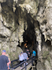 Glow worm caves