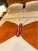 Bed butterfly 