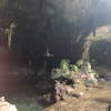 Ancient sacred Cenote 