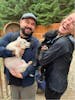 Meet the sled dog puppies