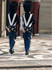 Palace guards