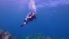 Discover Diving Excursion