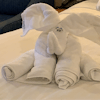 Everyone likes to come back to a Towel Animal in their Stateroom 