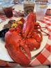 Lobster Lunch on Acadia National Park Tour