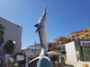 I guess Cabo San Lucas is known for swordfishing so they have the statue