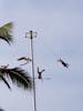 These guys climb up the pole and swing off I think it's some kind of rain dance no thank you